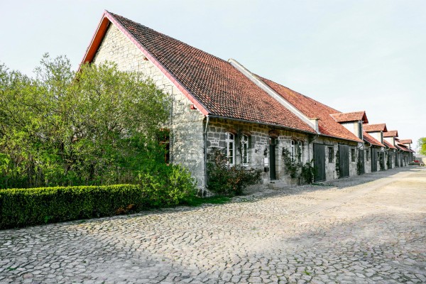 ©️ Caroline Gräfin Hahn von Burgsdorff